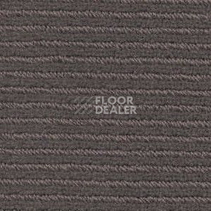 Ковролин Radici Solo Ardesia 6089 фото 1 | FLOORDEALER